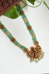 Amritha Devyani Antique Long Haram Set - LH009