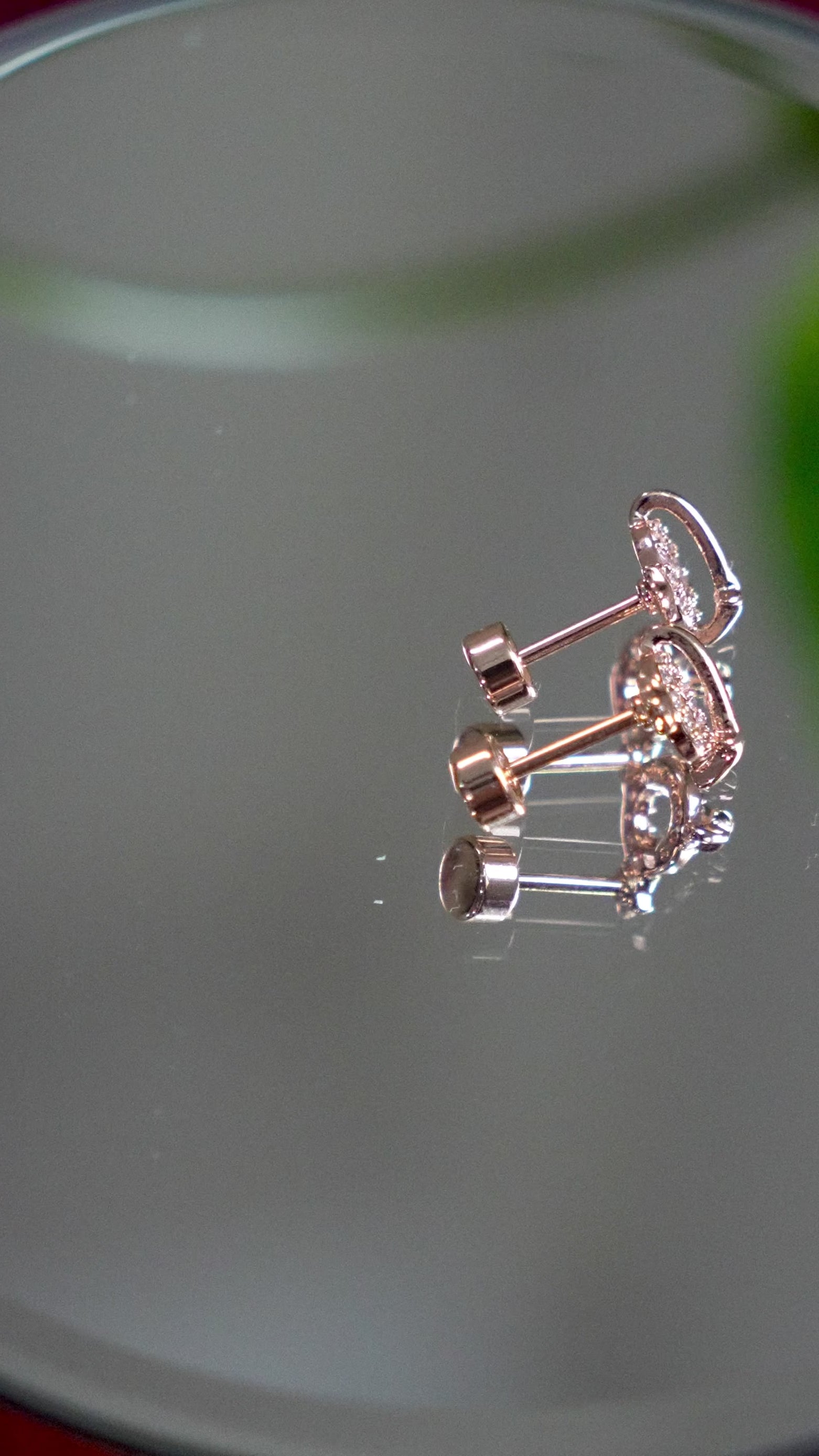 Celestia Luxe Studs-Premium 316L Stainless Steel Ear Studs - H17